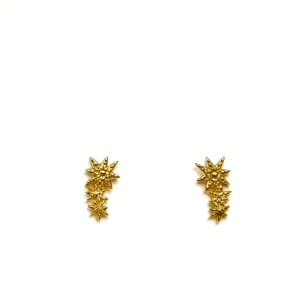 Aros Trepadores Cascada de Estrellas