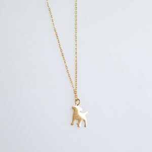 Collar con figura de Perro