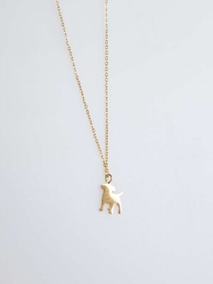 Collar con figura de Perro